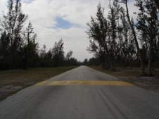 Enlarge photo 35