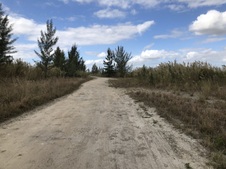 Enlarge photo 22