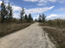 Enlarge photo 24