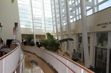 Enlarge photo 113