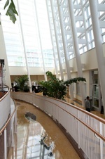 Enlarge photo 114
