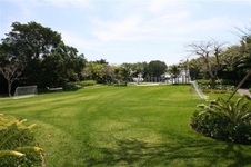 Enlarge photo 185