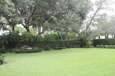 Enlarge photo 111