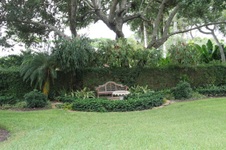 Enlarge photo 113