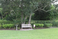 Enlarge photo 143
