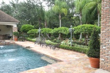 Enlarge photo 136