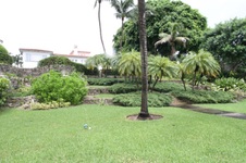 Enlarge photo 170