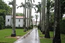Enlarge photo 152