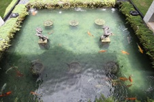 Enlarge photo 54