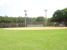Enlarge photo 81