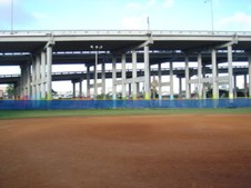 Enlarge photo 131