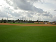 Enlarge photo 225