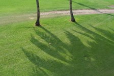 Enlarge photo 151