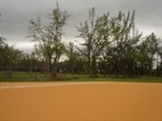 Enlarge photo 178