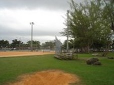 Enlarge photo 181