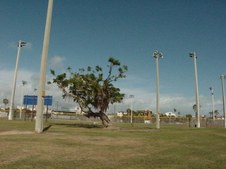 Enlarge photo 121