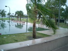 Enlarge photo 79