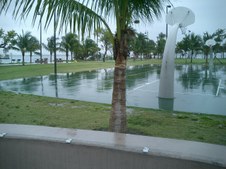 Enlarge photo 80