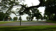 Enlarge photo 114