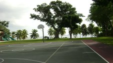 Enlarge photo 115