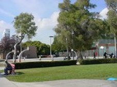 Enlarge photo 144