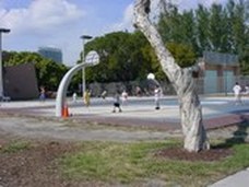 Enlarge photo 145