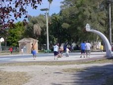 Enlarge photo 146