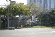 Enlarge photo 50