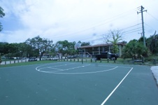 Enlarge photo 163