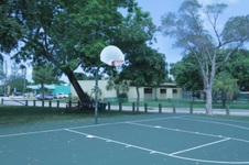 Enlarge photo 168
