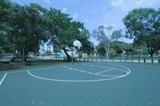 Enlarge photo 169