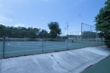 Enlarge photo 167