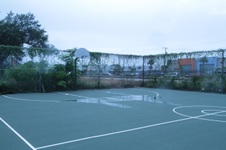 Enlarge photo 176