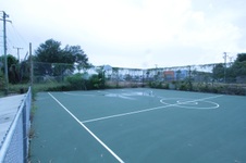 Enlarge photo 174