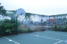 Enlarge photo 172