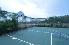 Enlarge photo 186