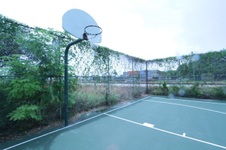 Enlarge photo 185