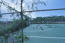 Enlarge photo 183