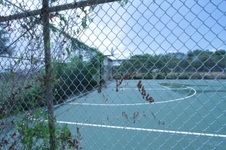 Enlarge photo 187