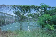 Enlarge photo 190