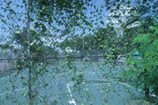 Enlarge photo 193