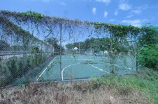 Enlarge photo 194