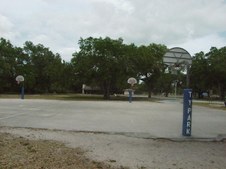 Enlarge photo 87