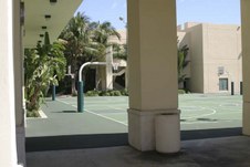 Enlarge photo 69