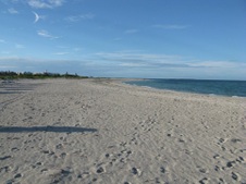 Enlarge photo 54