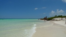 Enlarge photo 64