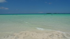 Enlarge photo 66