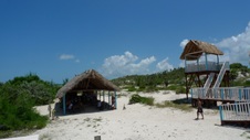 Enlarge photo 71