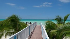 Enlarge photo 72