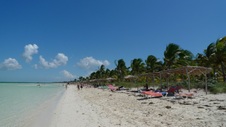 Enlarge photo 74